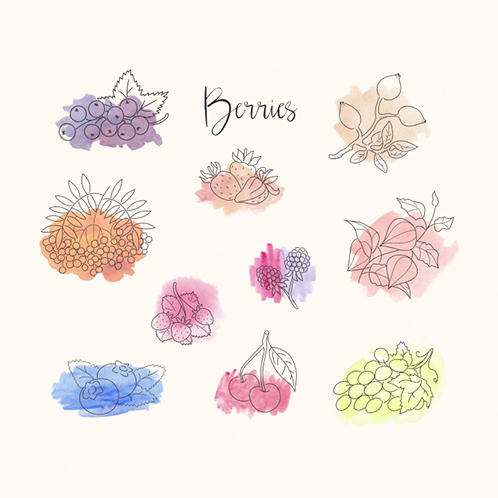 Berries Doodles