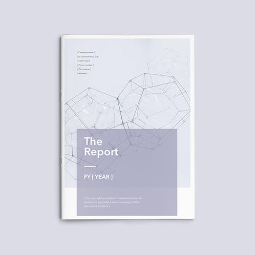 Brisk Report
