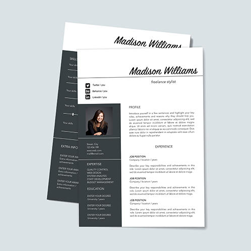 Freelance Stylist Resume