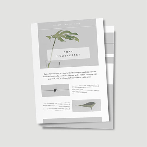 Gray Newsletter