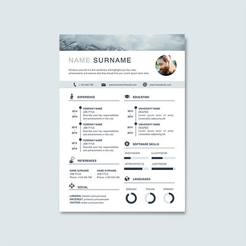 Infographic Resume