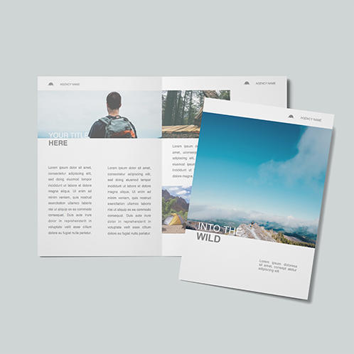 Into The Wild Brochure