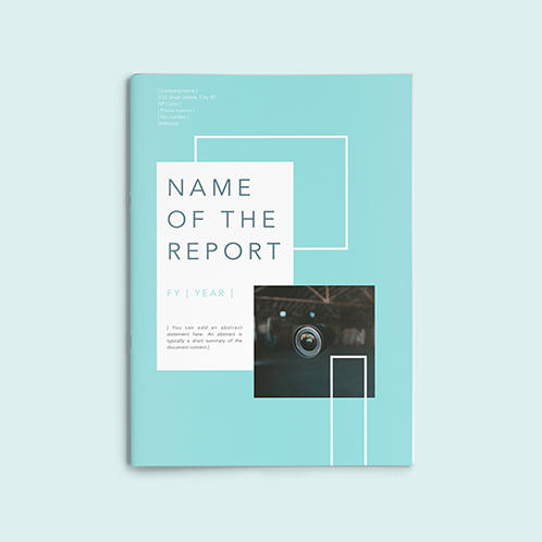 Mint Report