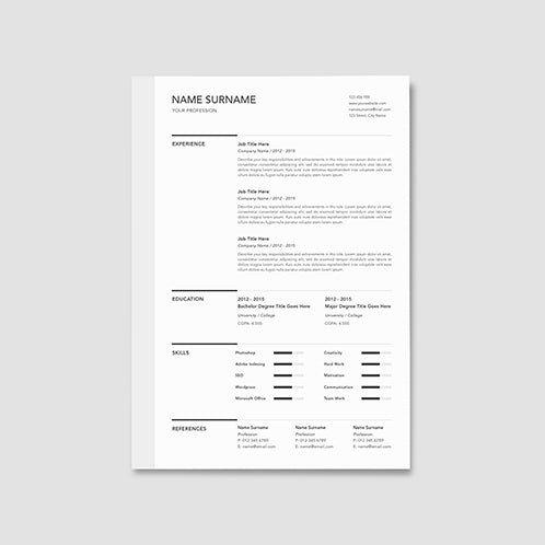 Modest Resume