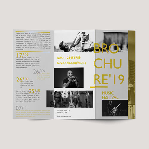 Music Festival Brochure