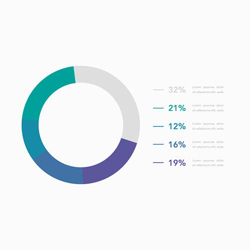 Pie Chart 01