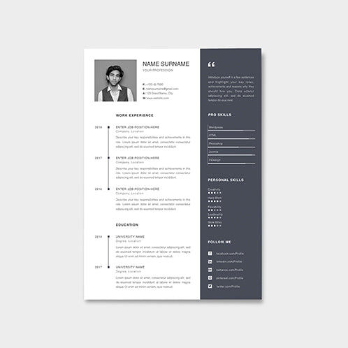 Professional Resume