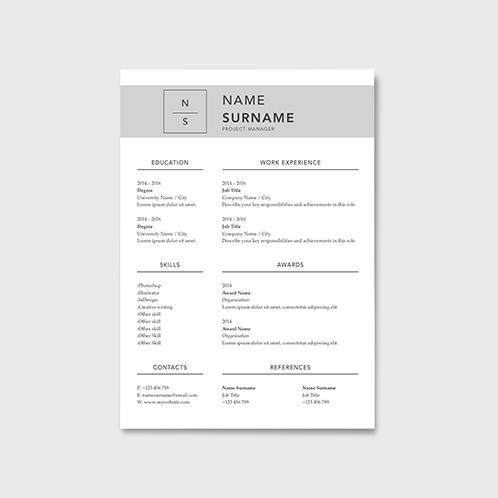 Project Manager Resume