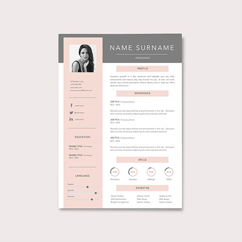 Sleek Resume