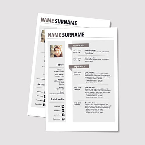 Solid Resume