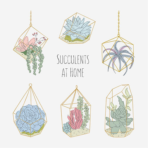Succulents at Home Doodles