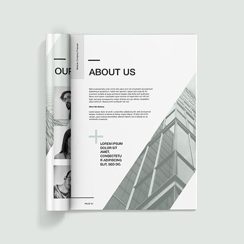 The Company Proposal