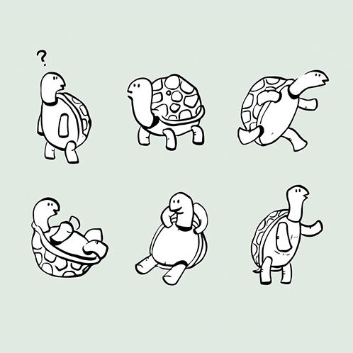 Turtle Doodles