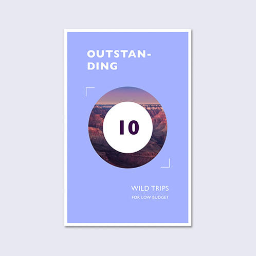 Wild Trips Pinterest Post