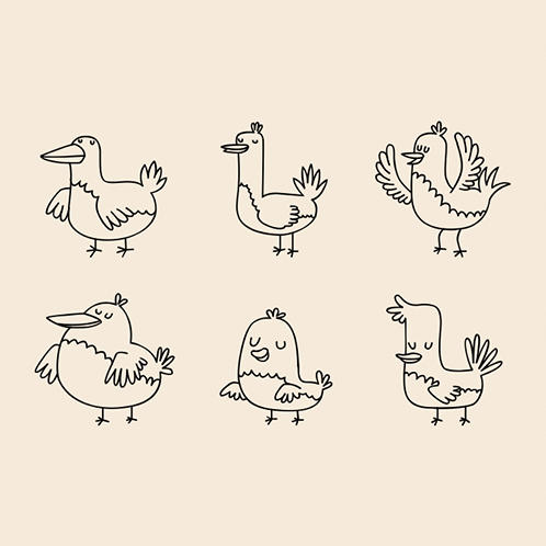 Birds Doodles