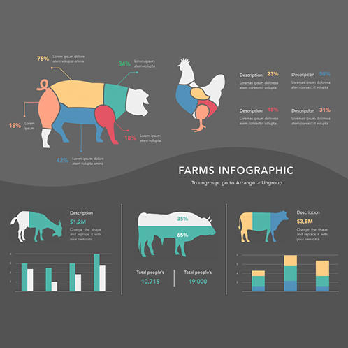 Farms Infographic