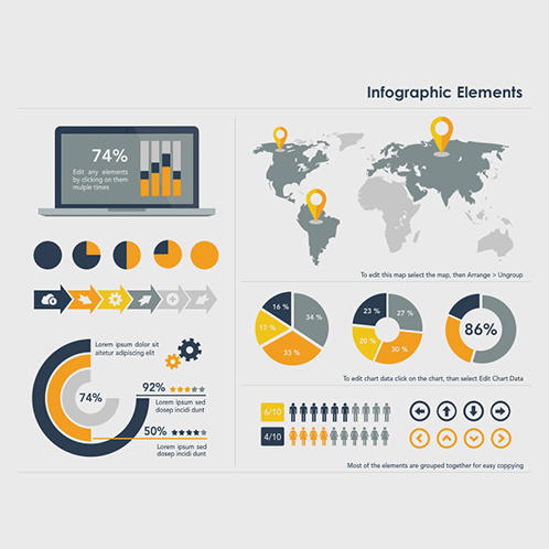 Infographic Elements Infographic