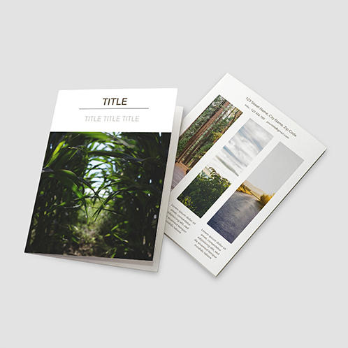 Nature Brochure
