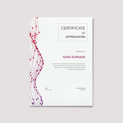 Network Casual Certificate