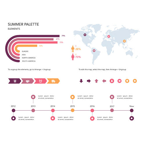 Summer Palette Elements Infographic