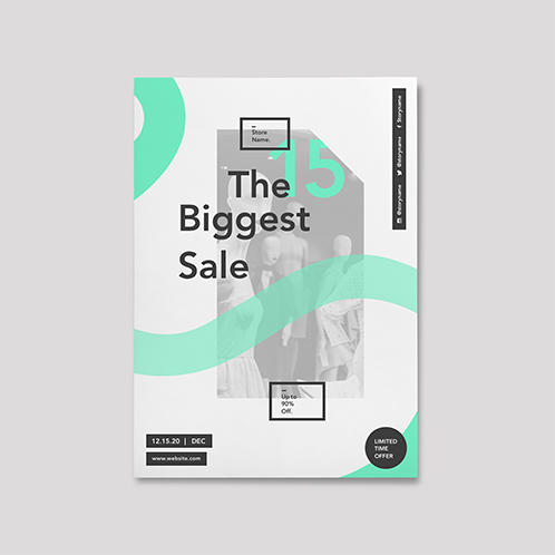The Biggest Sale Flyer